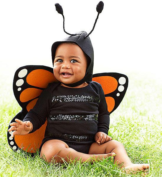 Baby Butterfly