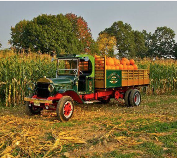 truck with pumpkins on a farm