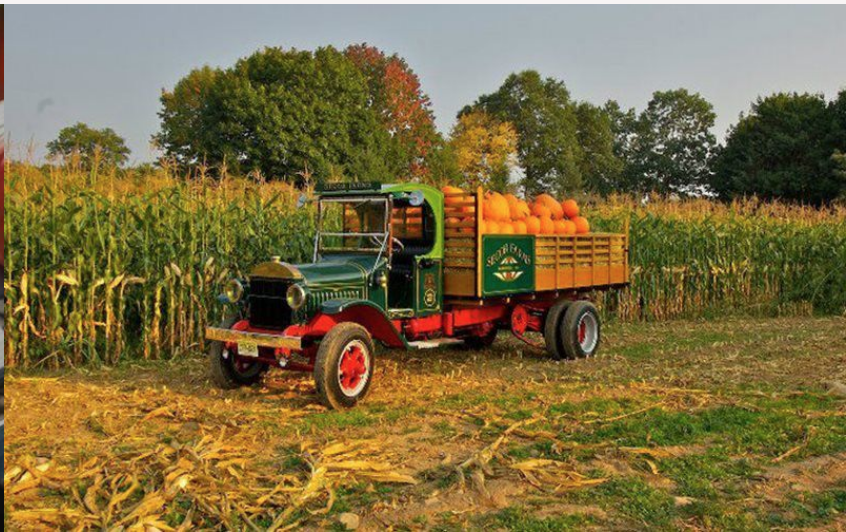 truck with pumpkins on a farm