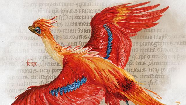 Harry Potter: A History Of Magic At New-York Historical Society