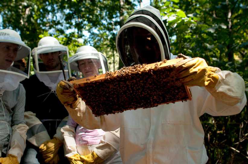 NYC Honey Fest 