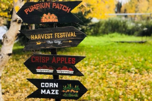 Harvest Festival in Carl Schurz Park 