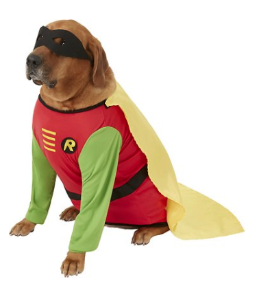 Cutest Costumes To Get Your Dog This Halloween Season