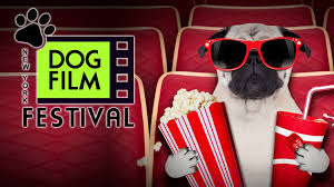 Dog Film Festival 