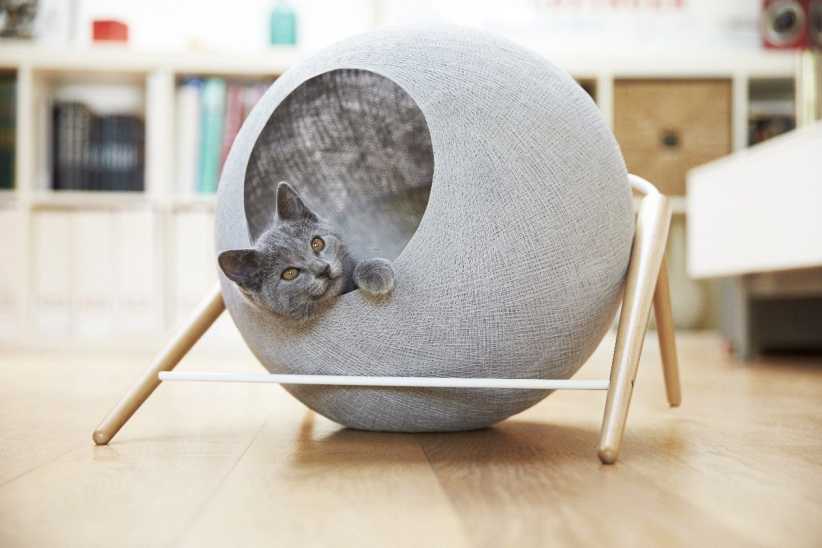 Tuft & Paw Cat Sphere