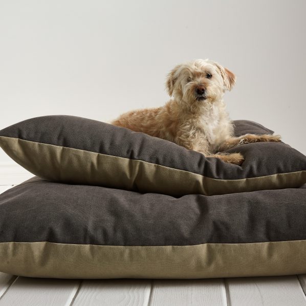 Parachute Dog Bed
