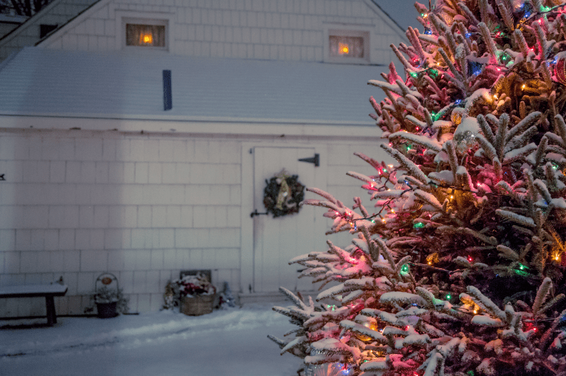 Tree Lighting Ceremony