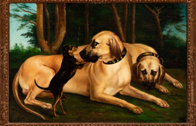 dog-portrait.jpg