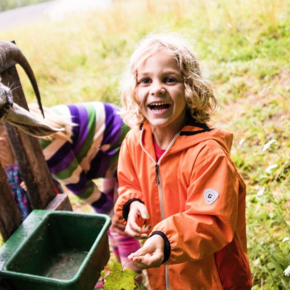 little kid at summer camp feeding a goat