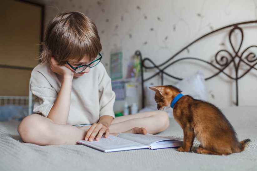 Boy sitting on bed reading book while small brown kitten curiously watching him from side. Create a Calm, Sleep-Friendly Bedroom for Your Child: 4 Simple Changes