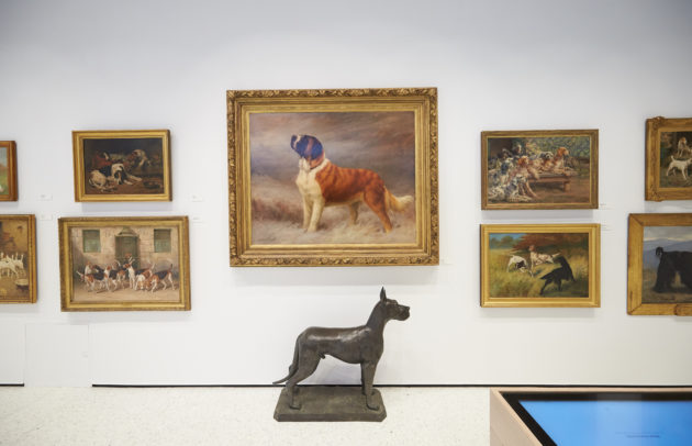 museum exhibit with dog art