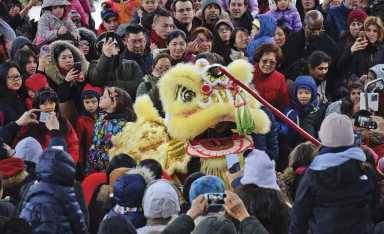 Usher in the Lunar New Year at Queens Botanical Garden