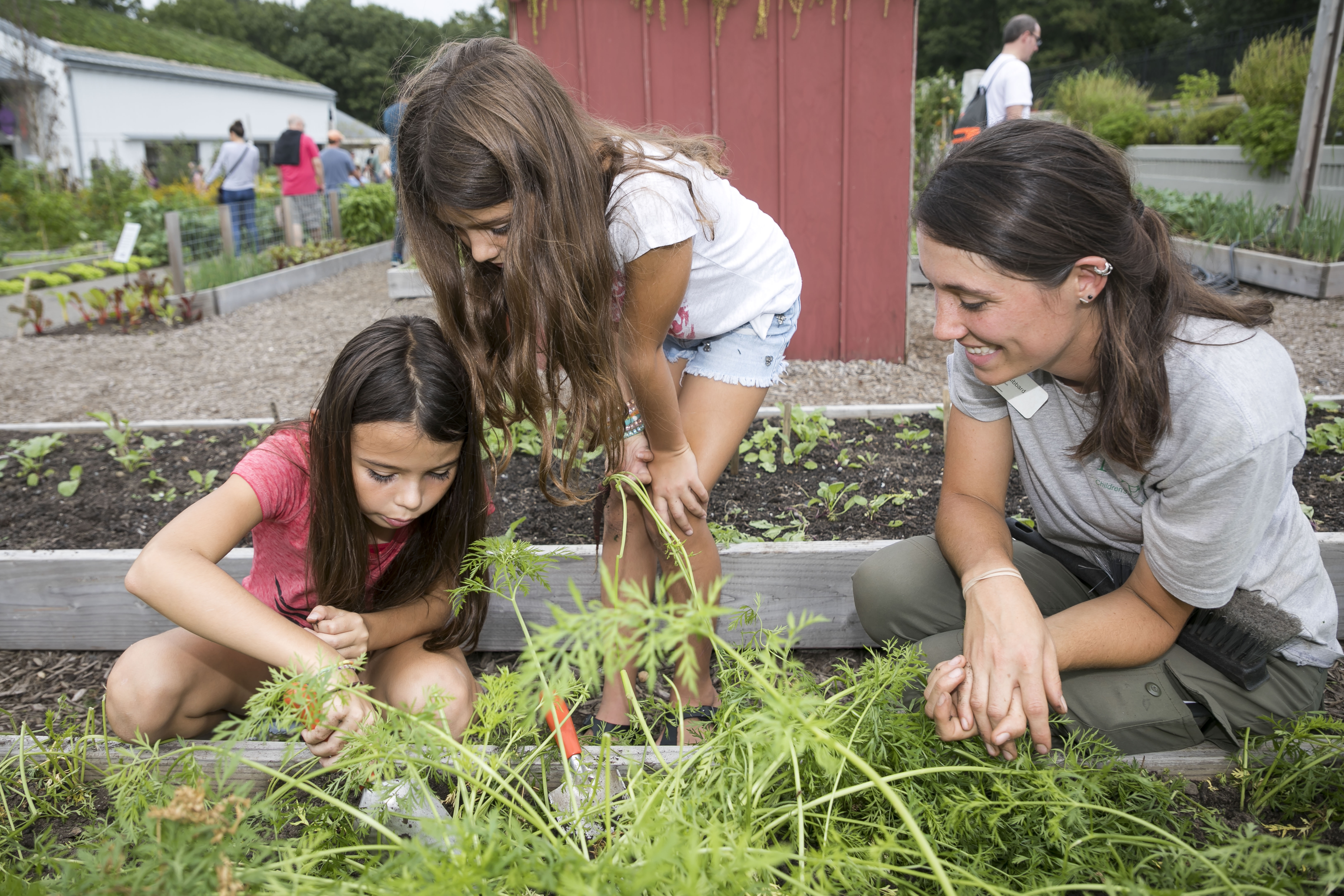 Budding Botanist