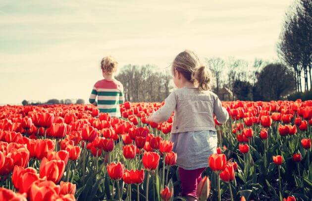 children in a flower field