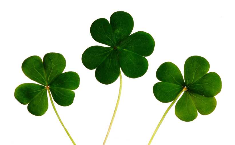 St. Patrick’s Day Programs