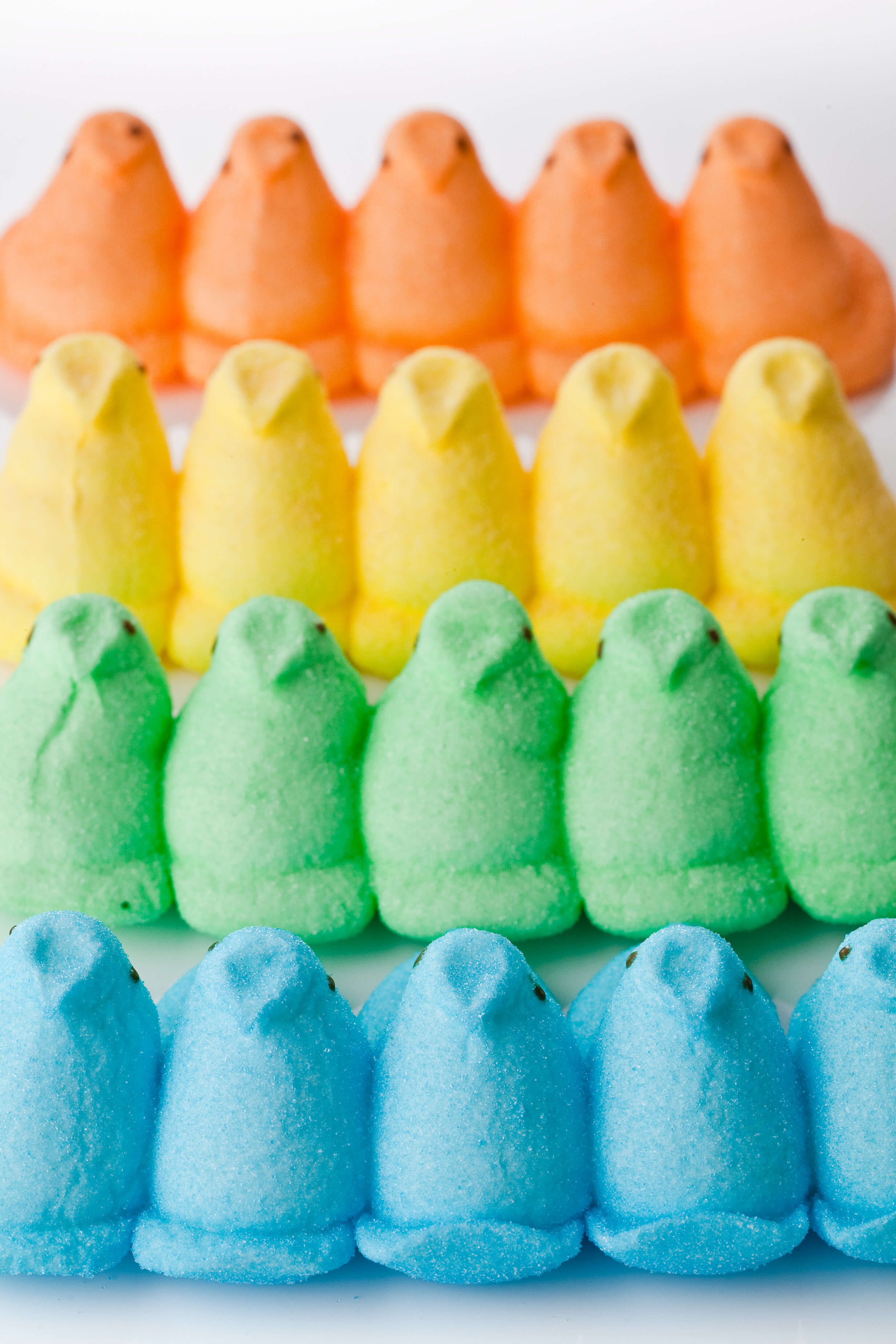 Rainbow colored peeps 