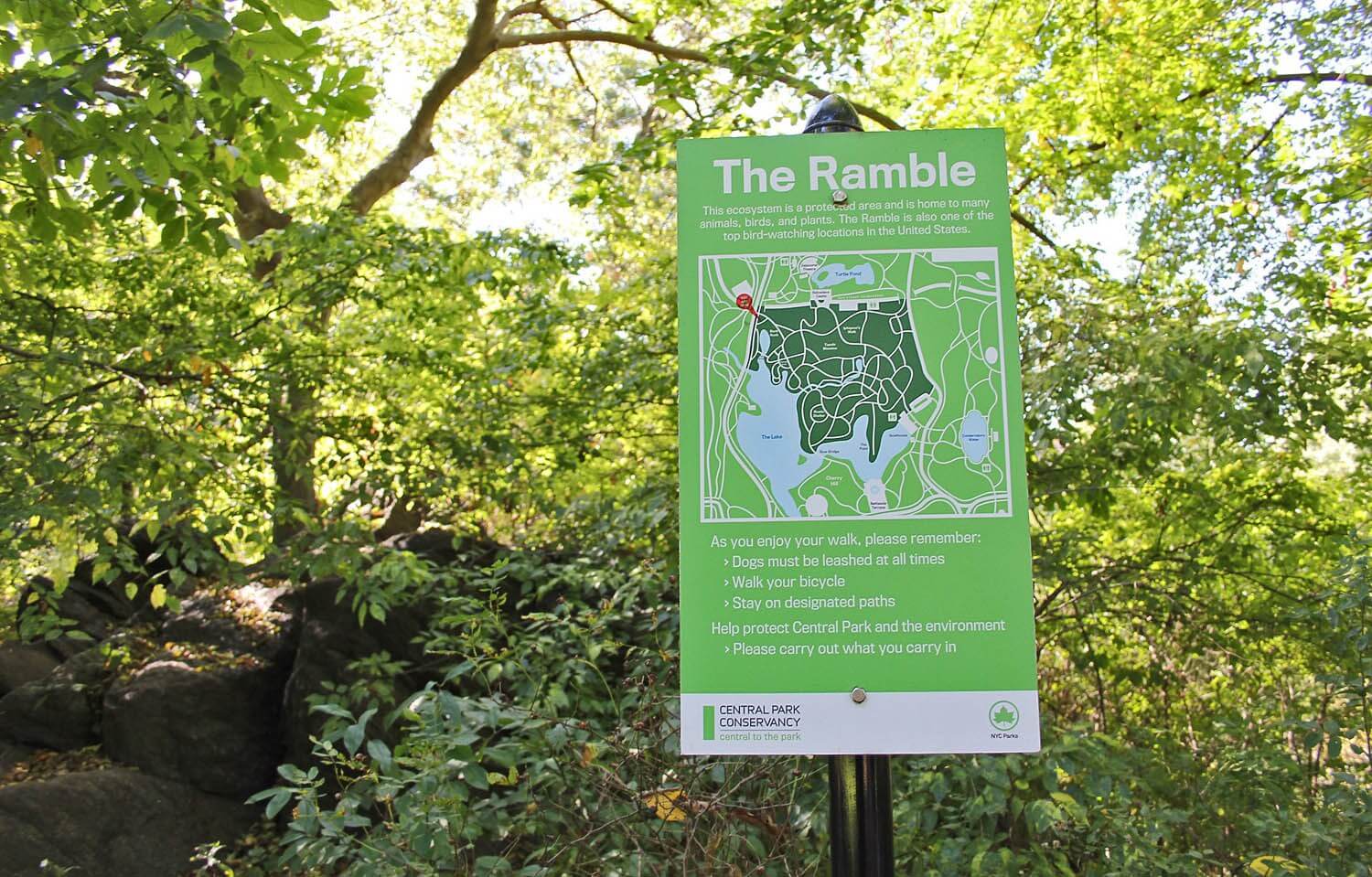 Image result for the ramble central park