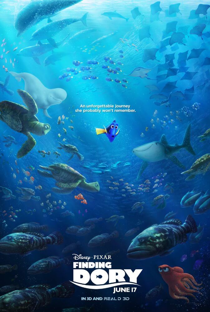 Albert Brooks, Ellen DeGeneres, Ty Burrell, Ed O'Neill, Kaitlin Olson, and Hayden Rolence in Finding Dory (2016)