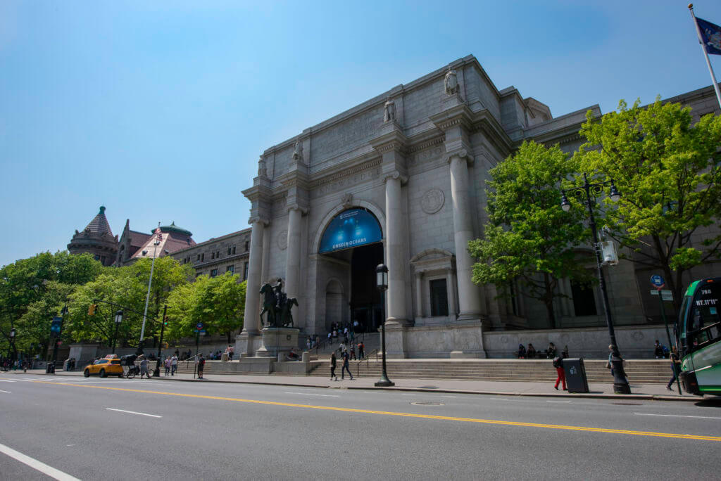 Visit the American Museum of Natural History