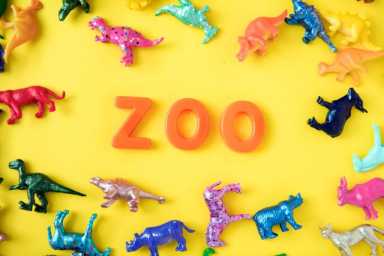 animals-assorted-background-953211