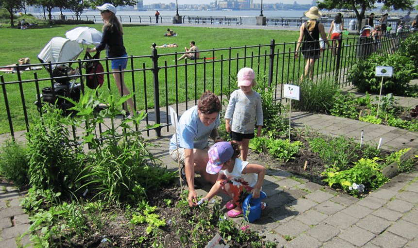 Youth Sprouts Gardening