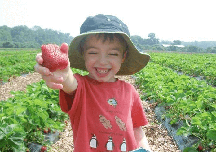 Terhune Orchards