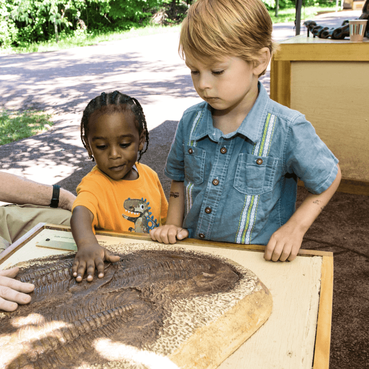 Bronx Zoo Dinosaur Safari