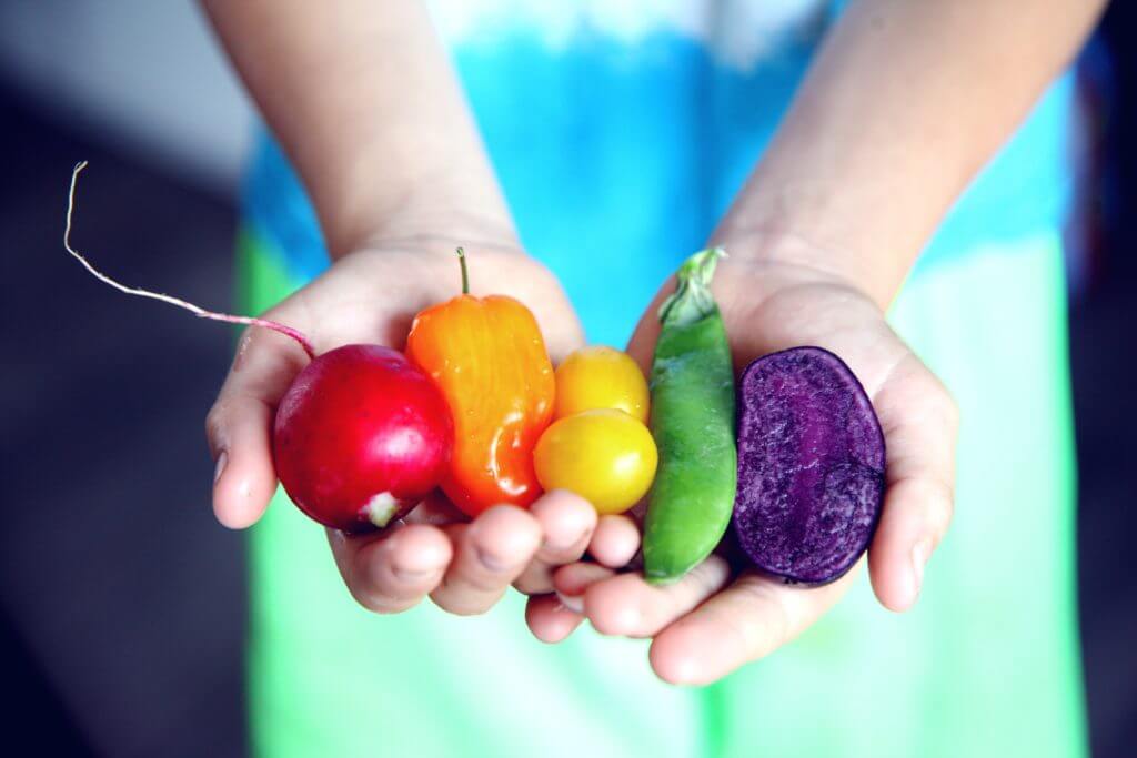 two outstretched hands hold a radish, tomatoes, and other colorful vegetables
