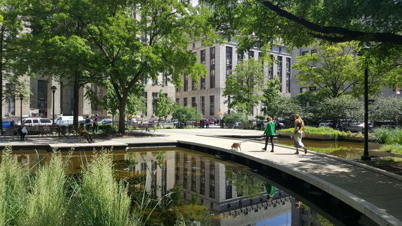 a woman walks her dog on a walkway over a pond with trees and buildings in the background