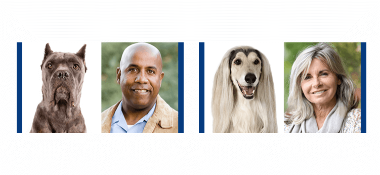 Find Your Match at the American Kennel Club Museum of the Dog