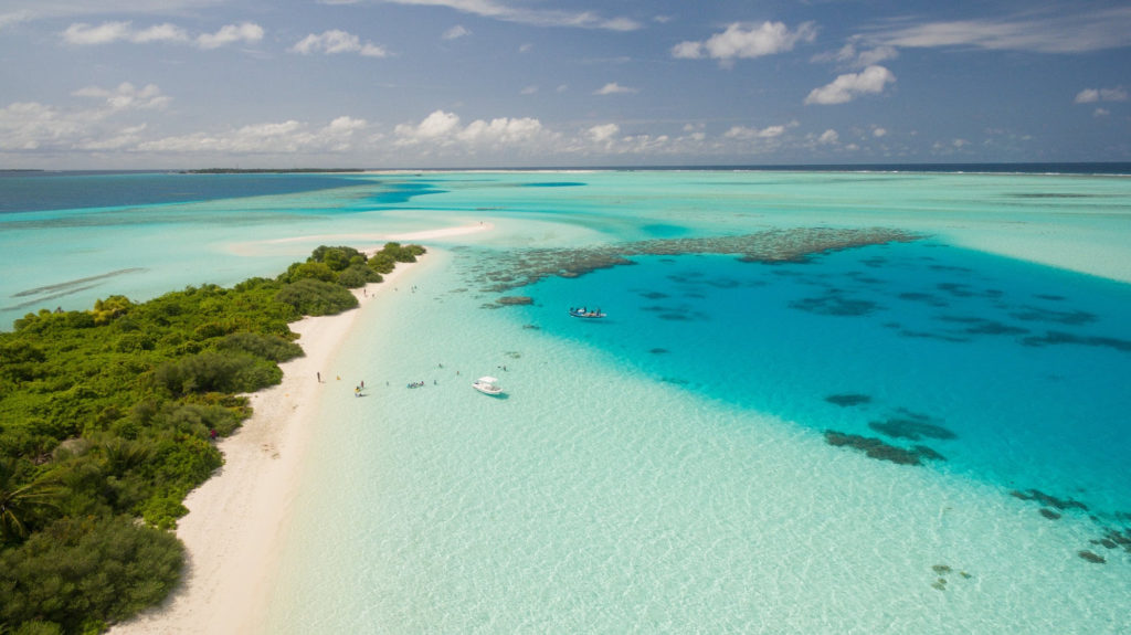 clear blue waters and a white sandy beach covered with green trees