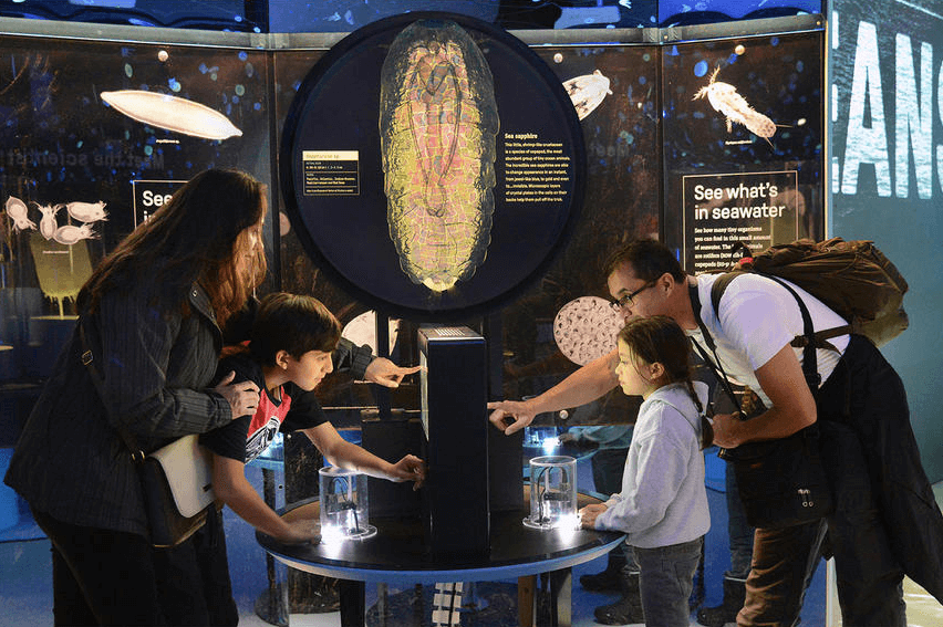 Unseen Oceans at the American Museum of Natural History