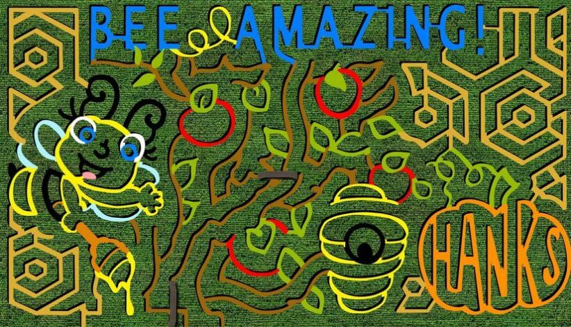 a corn maze near New York City that reads "Bee Amazing" with a bee