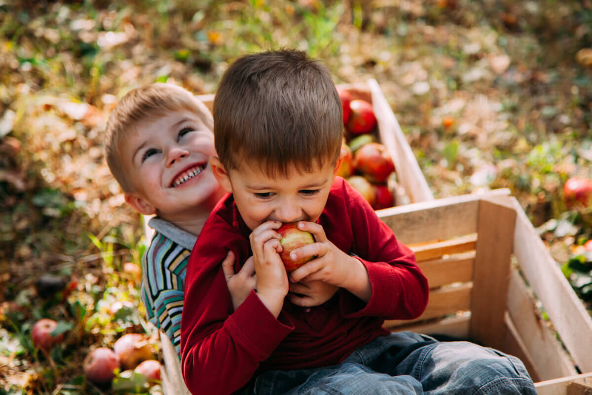 kids eating apples