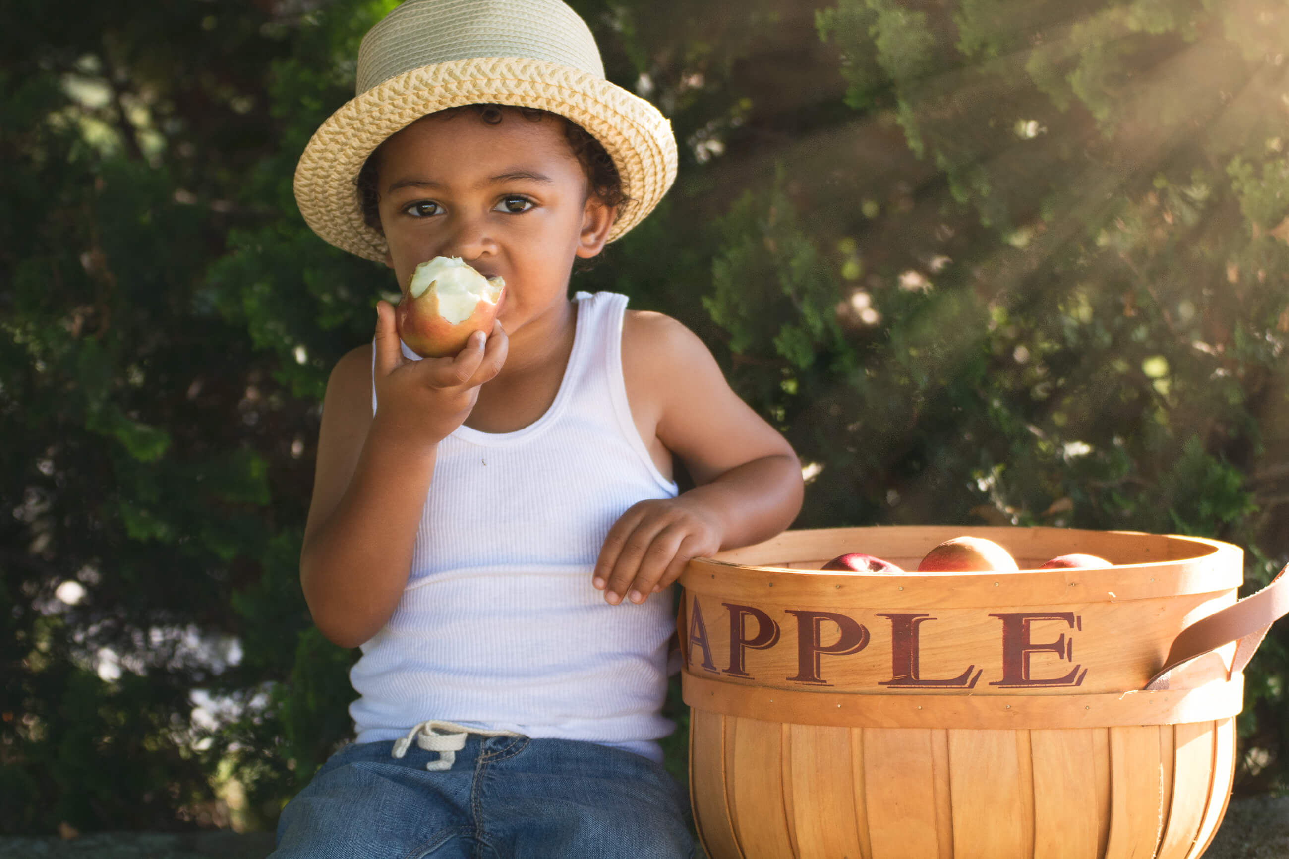 Apple Picking in NY