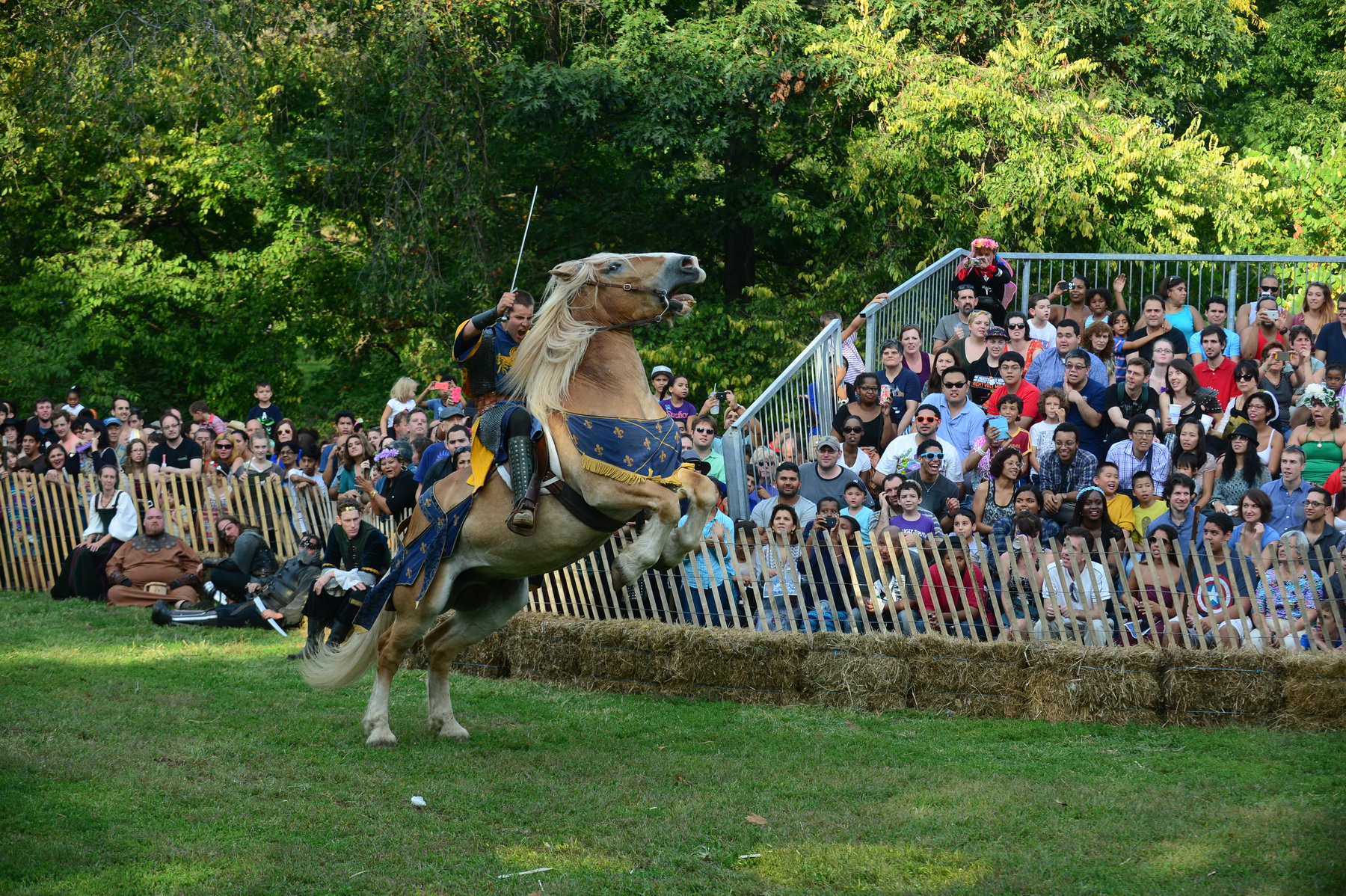 35th Annual Medieval Festival