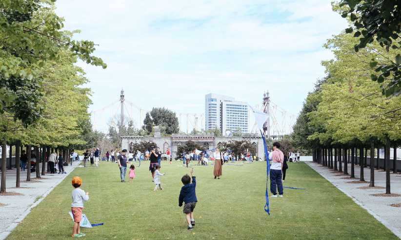 Kite Flight for Peace and Human Rights