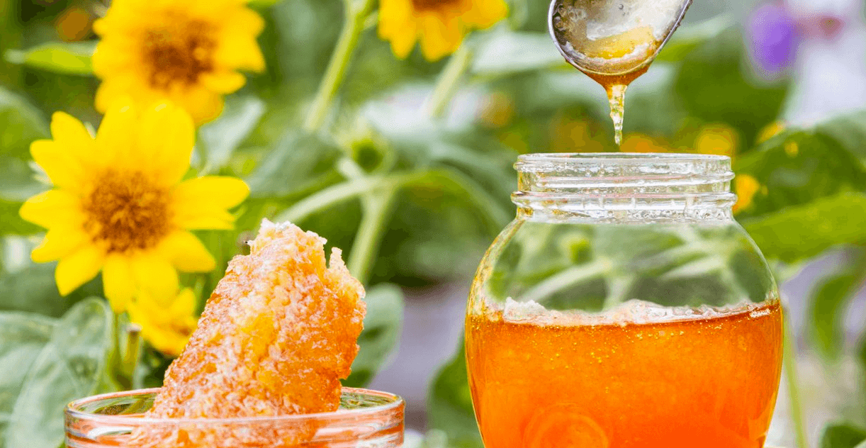 Honey and Harvest Weekend