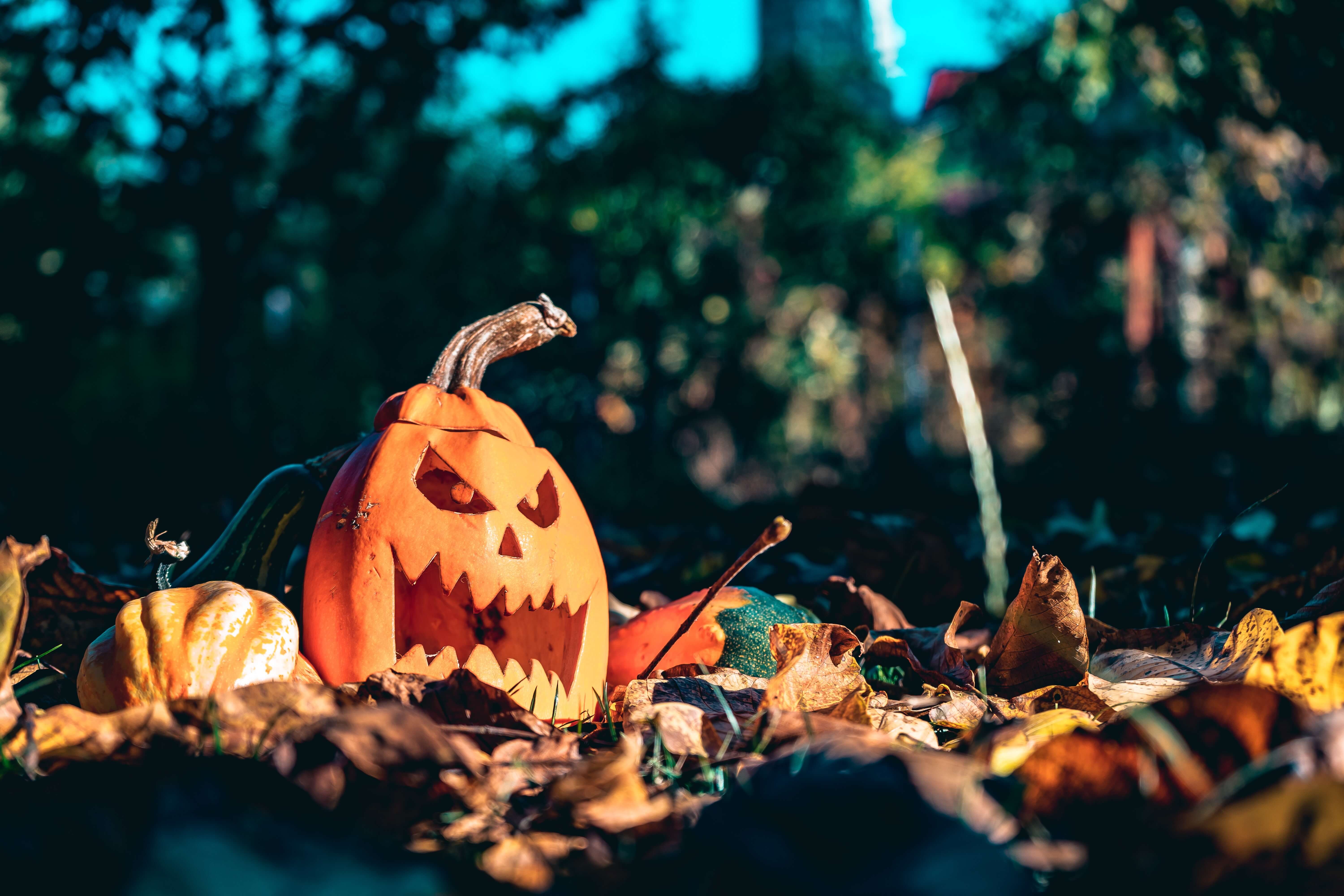 5th Annual Pumpkin Carving Contest