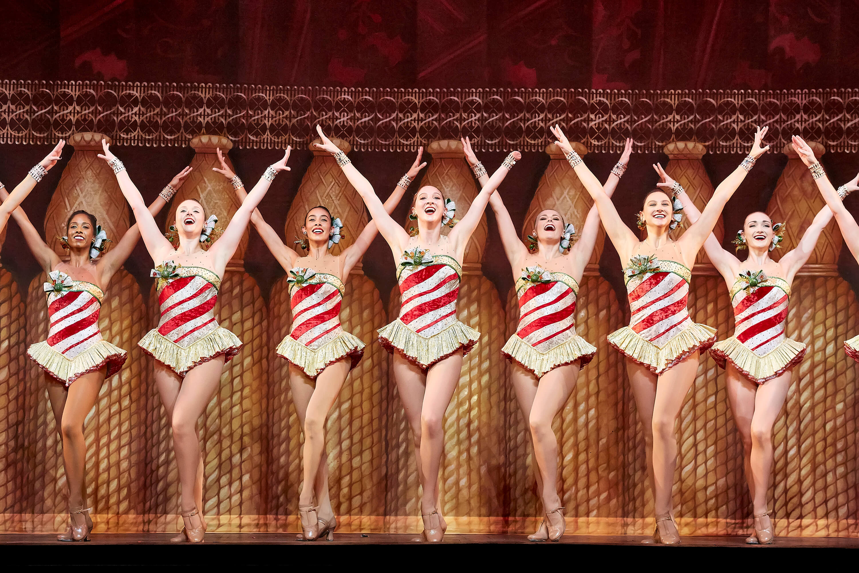 Christmas Spectacular Starring The Radio City Rockettes Seating Chart