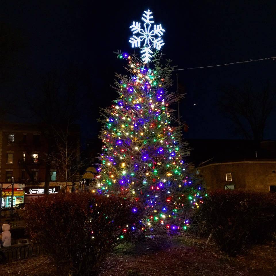 Bronx Little Italy Christmas Tree Lighting - Little Italy, the Bronx