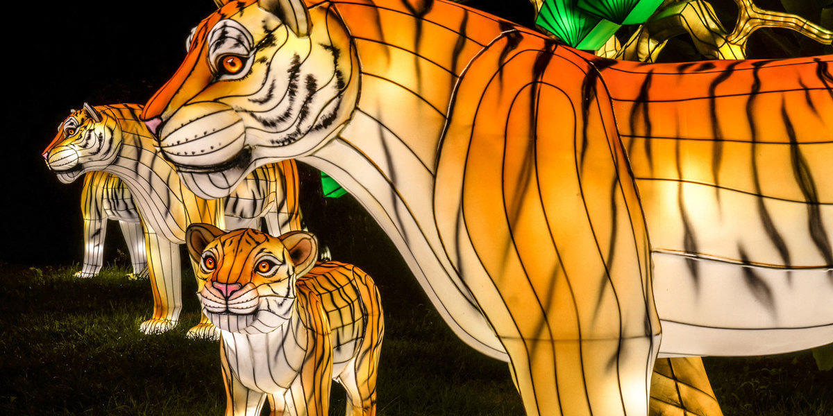 Holiday Lights at Bronx Zoo