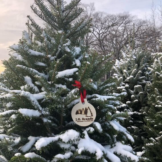 christmas-tree-with-snow-and-ornament.jpg