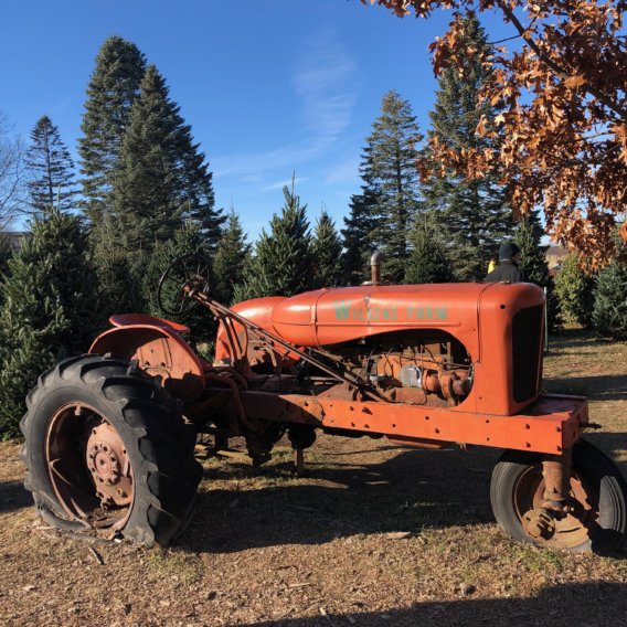 tractor-at-wilkens-farms.jpg