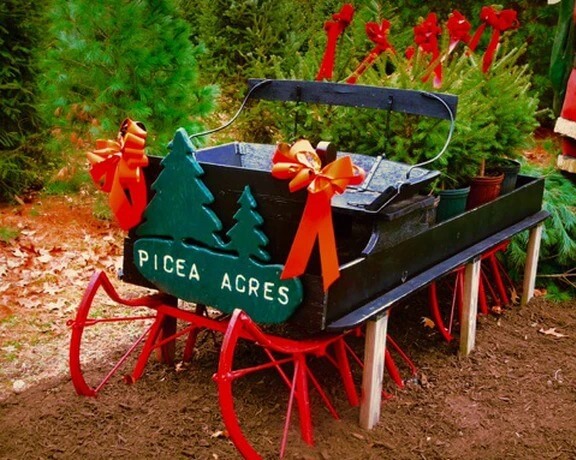Cut Your Own Christmas Tree Farms Near New York City