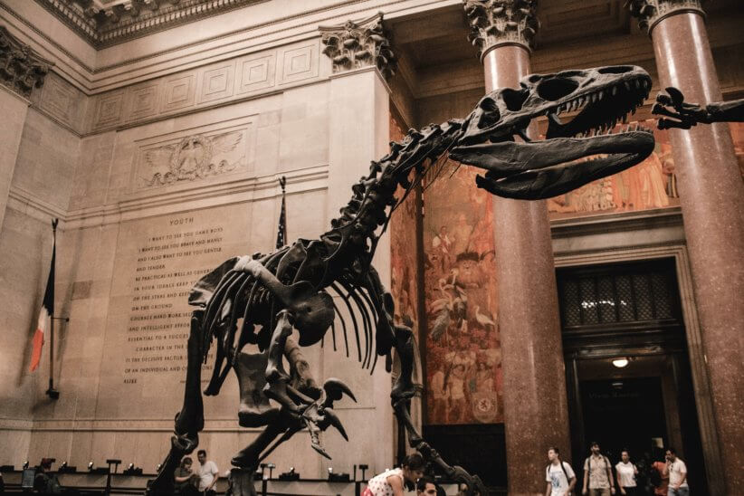 NYC Family Friendly Museums to Visit all Year Round