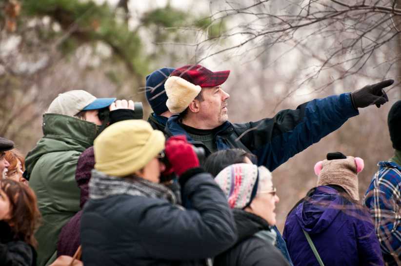 Nature Walks With Bradley Klein: Winter Nature Walk II – Brooklyn Botanic Garden