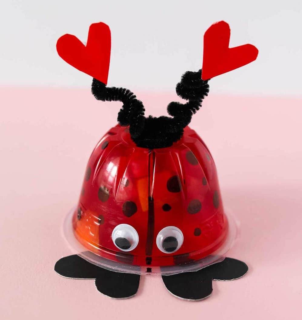 Love Bug Fruit Cups