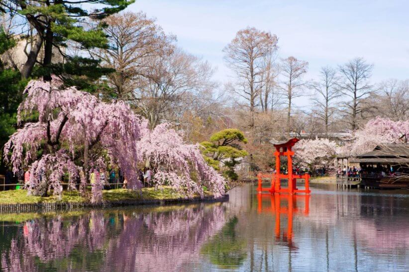 Brooklyn Botanic Garden