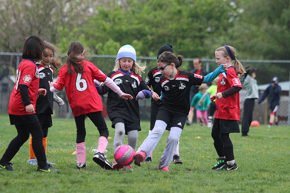 West Side Soccer League - Citywide